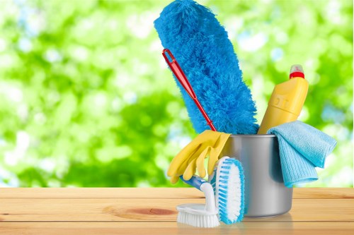 Local regular cleaning service for a Haringey home