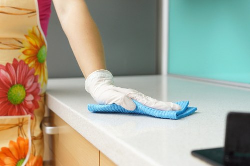 Regular home cleaning for flats and houses in Haringey