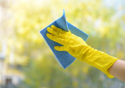 A professional cleaner maintaining shared stairwells in a Haringey property
