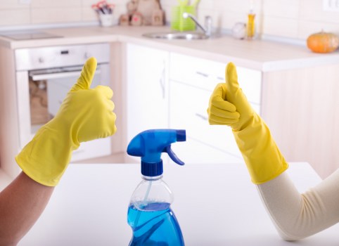 Deep cleaning oven racks and interior with careful local service