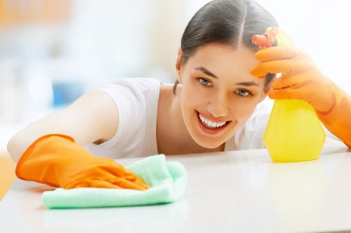 Illustration representing accessible Cleaner Haringey online services