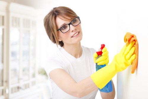 Professional pet stain odour removal service in a Haringey home