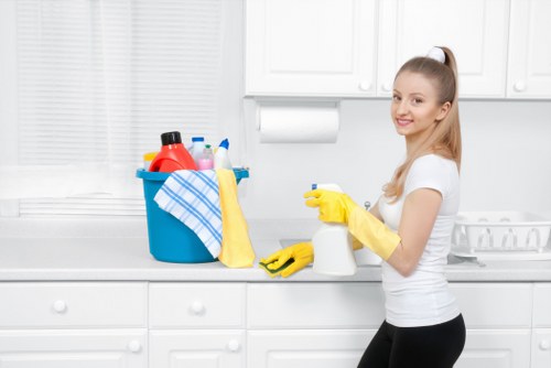 Deep cleaning treatment for pet urine odour on carpet in Haringey