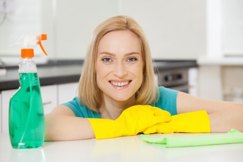Local oven cleaning appointment for a busy Haringey household