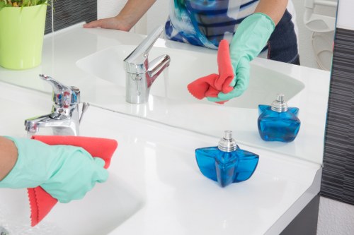 Detailed cleaning for apartments and period homes in Haringey