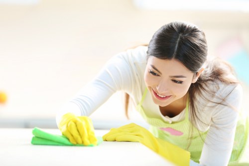 Professional cleaning supplies used for office cleaning in Haringey