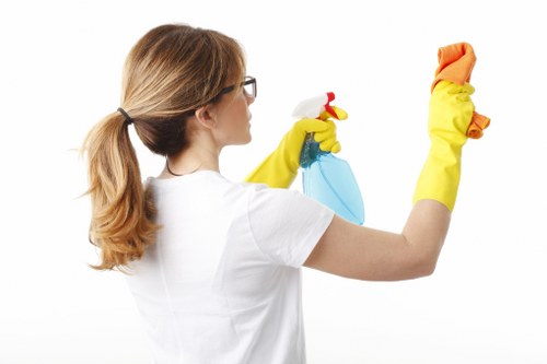 Professional window cleaning service for domestic and commercial properties in Haringey