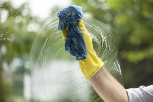 Professional gutter cleaning for a Haringey home with rainwater drainage maintenance