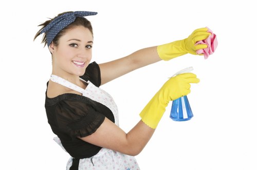 Local gutter clearing service for roofline debris removal in Haringey