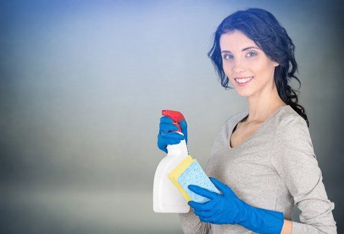 Residential window cleaning for homes in Haringey